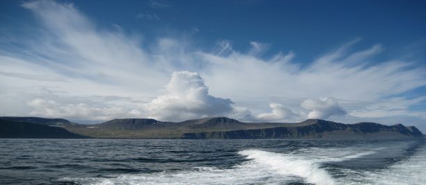 Banner 4
