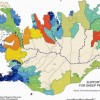 Support entitlements for sheep production 2010 by municipalities