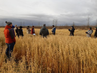 NPA verkefni� OatFrontiers � fr�ttavef ESB