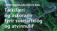 Uppbyggingasjóður EES: Boð á vinnustofu 19.janúar