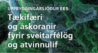 Uppbyggingasjur EES: Bo  vinnustofu 19.janar