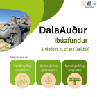 bafundur  DalaAui  dfinni