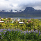 Frá Reyðarfirði