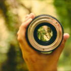 Mynd: Unsplash